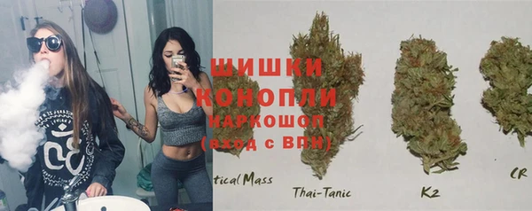 молекула духа Верхний Тагил