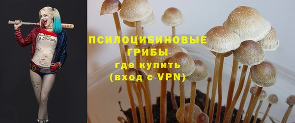 MESCALINE Щигры