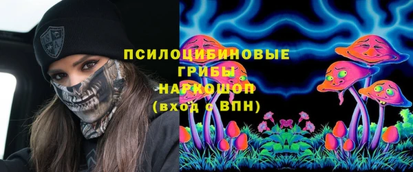 молекула духа Верхний Тагил
